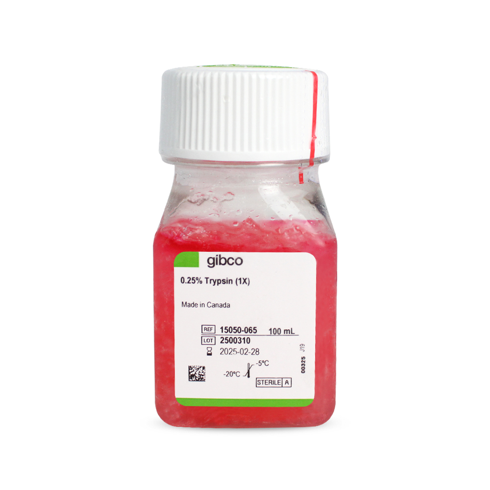 胰酶細胞消化液（0.25%胰酶，不含EDTA，含酚紅）